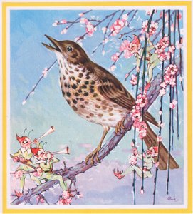 ツグミ